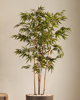 Alamkari India Fabric Artificial Bamboo Plant in Black Pot (180 cm)